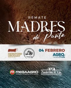 Remate Madres en Punta