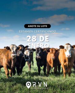 Remate Virtual del Norte