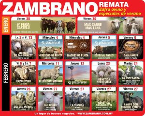 Zambrano Febrero 2026