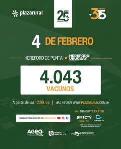 Plaza Rural – Remate 315