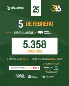 Plaza Rural – Remate 316