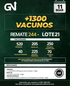 Remate 244 – Lote 21