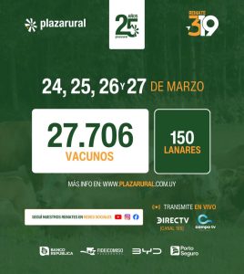 Plaza Rural – Remate 319