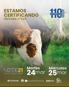 Valdez – Remate 245