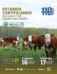 Valdez & Cia – Remate 246