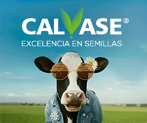 Calvase