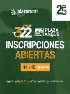 Plaza Rural – Remate 322