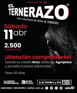 EL Ternerazo