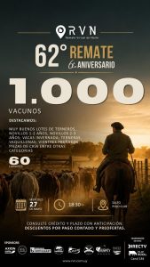 RVN – Remate 62