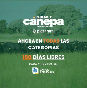 Ruben F. Cánepa