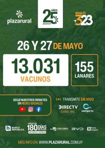 Plaza Rural – Remate 323