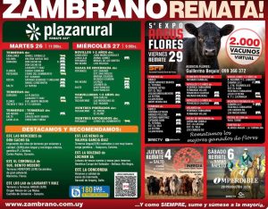 Zambrano Remata
