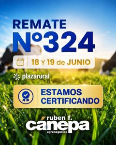 Remate 324