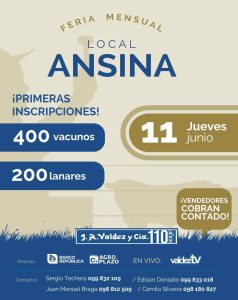 Feria Mensual Local Ansina