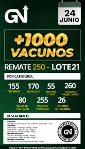 REMATE 250 – LOTE 21