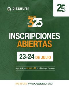 Plaza Rural – Remate 325