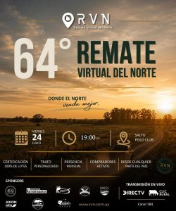 Remate 64