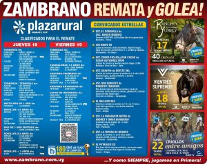 Zambrano