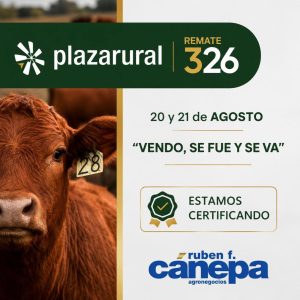 Ruben Cánepa – Remate 326