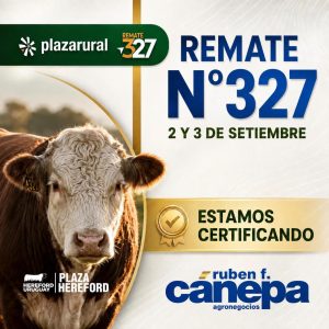 Ruben Cánepa – Remate 327