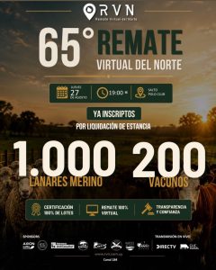 RVN 65 Remate