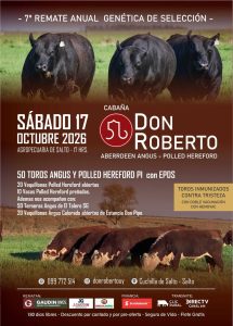 Don Roberto