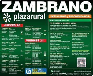 Zambrano & Cia
