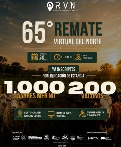 RVN 65 Remate