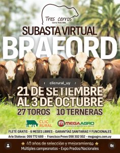 Subasta Braford
