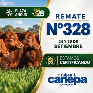 Ruben Cánepa – Remate 328