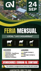 GN Feria Mensual