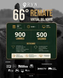 RVN 66
