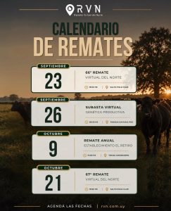 RVN Calendario de Remates