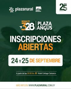 Plaza Rural – Remate 328