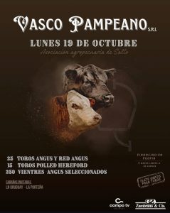 Vasco Pampeano