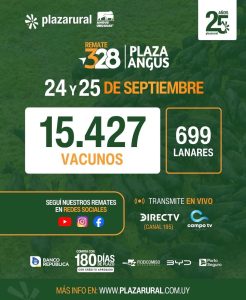 Plaza Rural 328