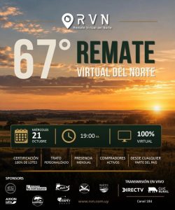 RVN 67