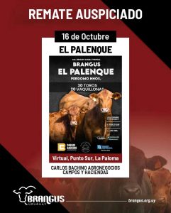 El Palenque
