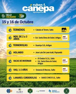 Ruben Cánepa – Remate 329